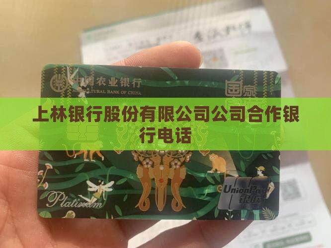上林府贷款合作银行电话