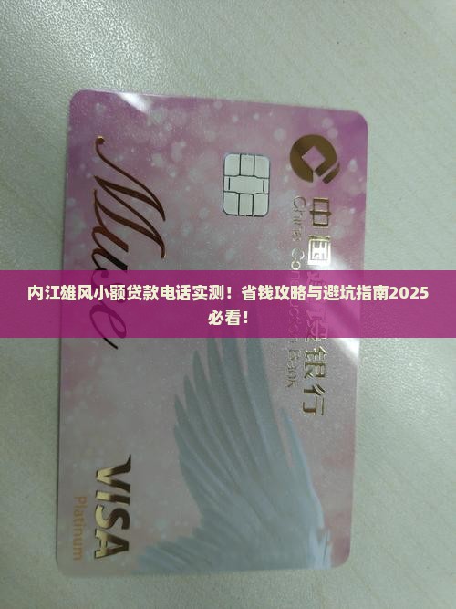 内江雄风小额贷款电话