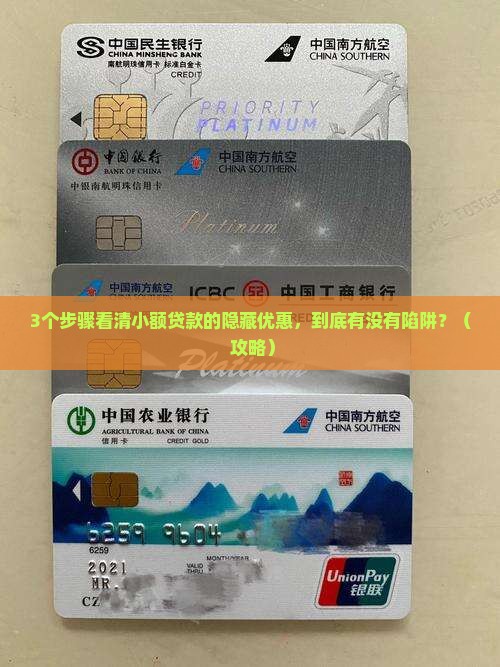 优惠政策的小额贷款