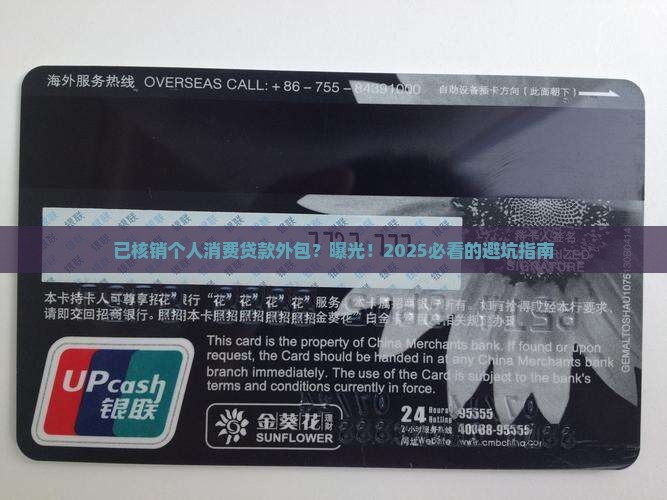 已核销个人消费贷款外包