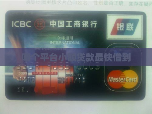 哪款小额贷款最快借