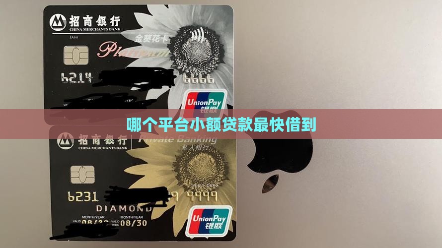 哪款小额贷款最快借