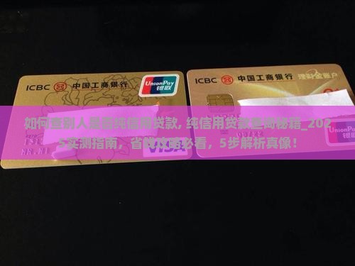 如何查别人是否纯信用贷款