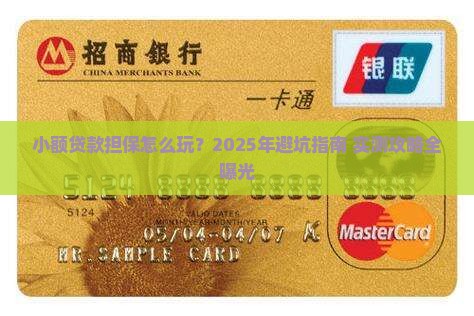 小额贷款担保工作