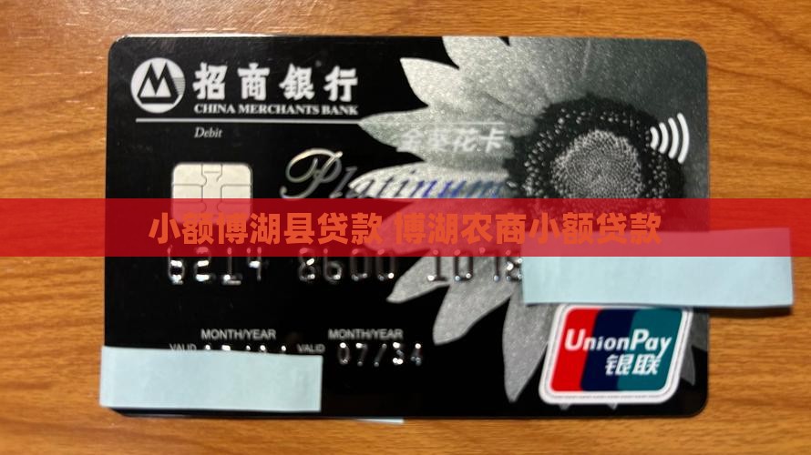 博湖农商小额贷款
