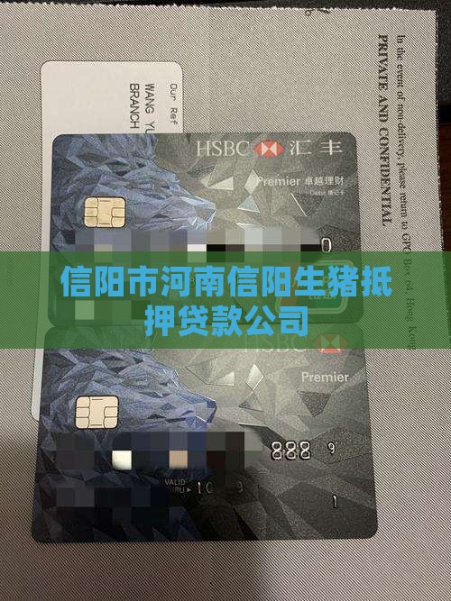 信阳生猪抵押贷款公司