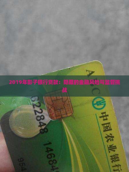 2019年影子银行贷款