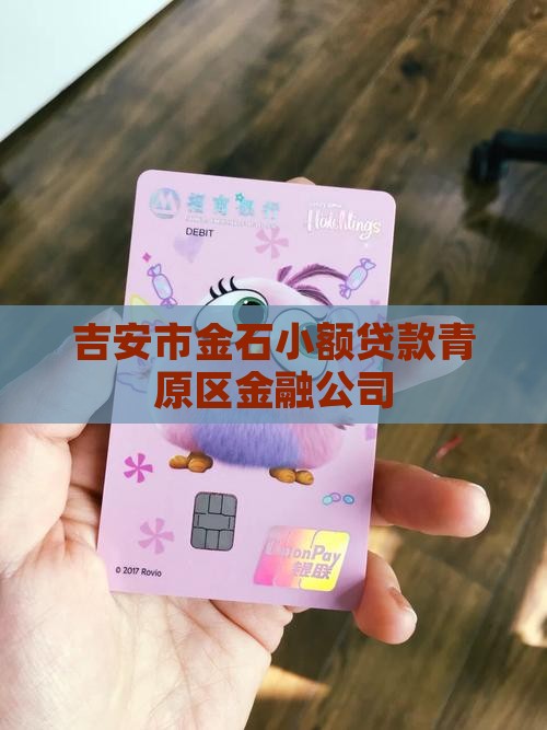 吉安市金石小额贷款