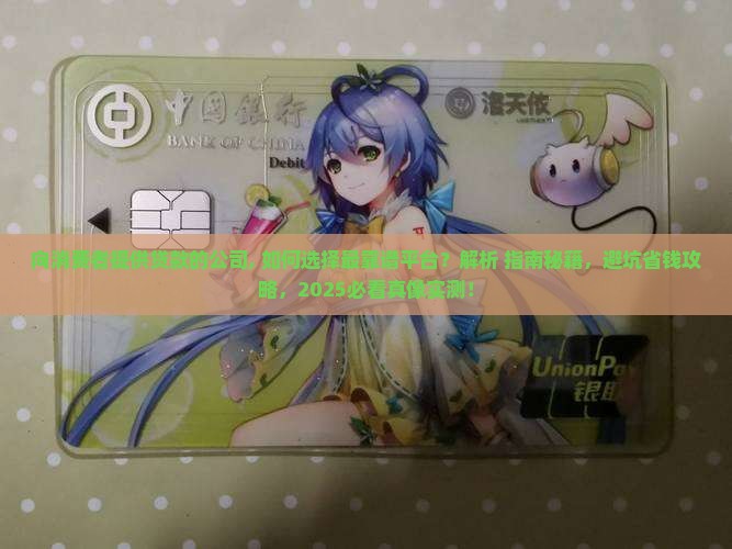 向消费者提供贷款的公司