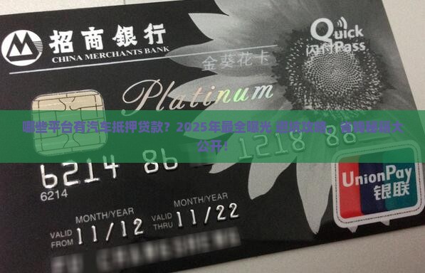 哪些平台有汽车抵押贷款