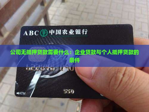 公司无抵押贷款需要什么
