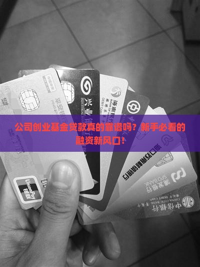 公司创业基金贷款