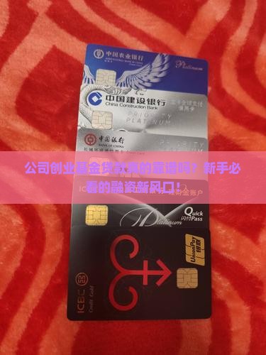 公司创业基金贷款