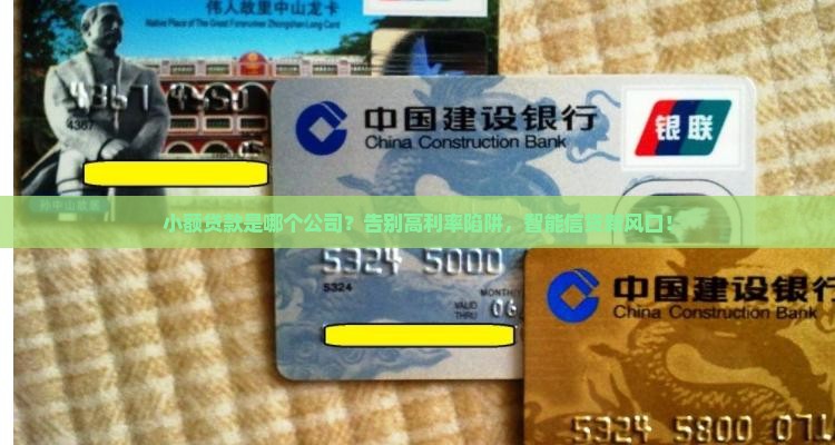 小额贷款是哪个公司