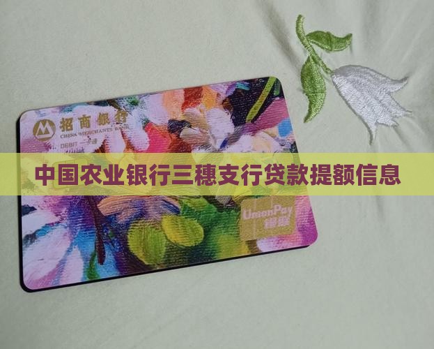三穗县农业银行贷款提额