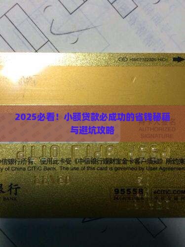 必成功的小额贷款有哪些