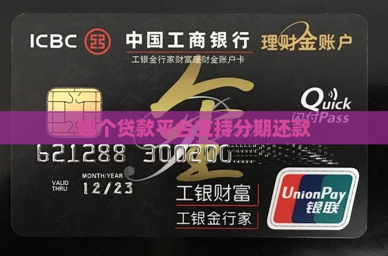哪个贷款能分期还款的