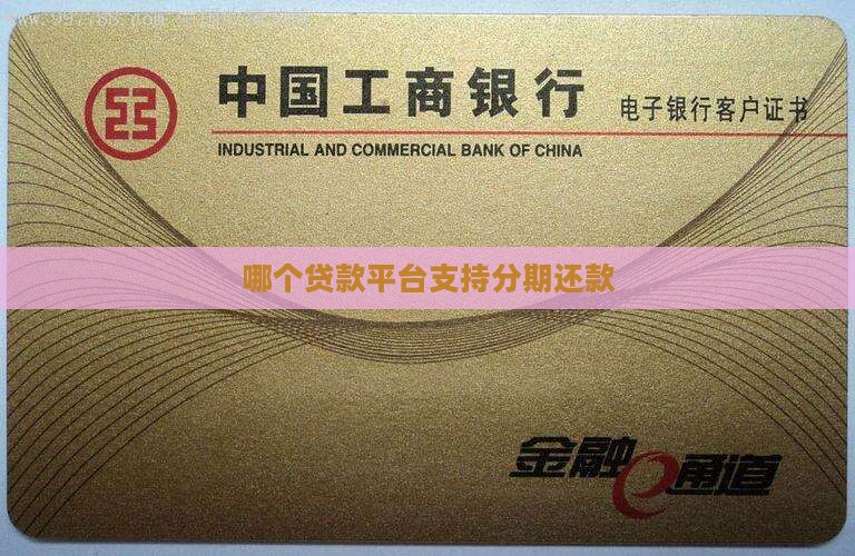 哪个贷款能分期还款的