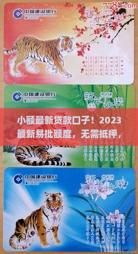 小额最新贷款口子