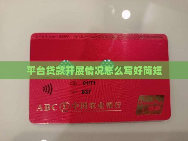 平台贷款开展情况怎么写好简短