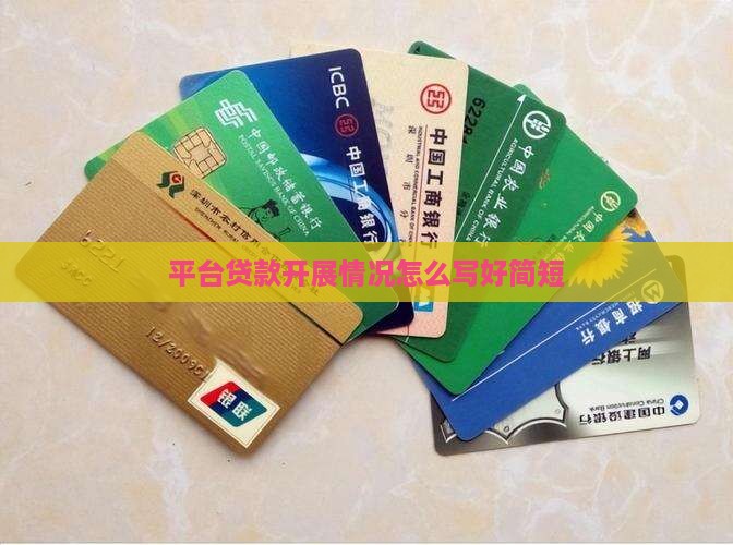 平台贷款开展情况怎么写好简短