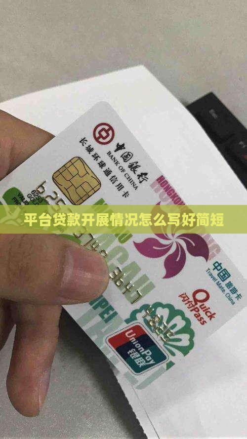 平台贷款开展情况怎么写好简短