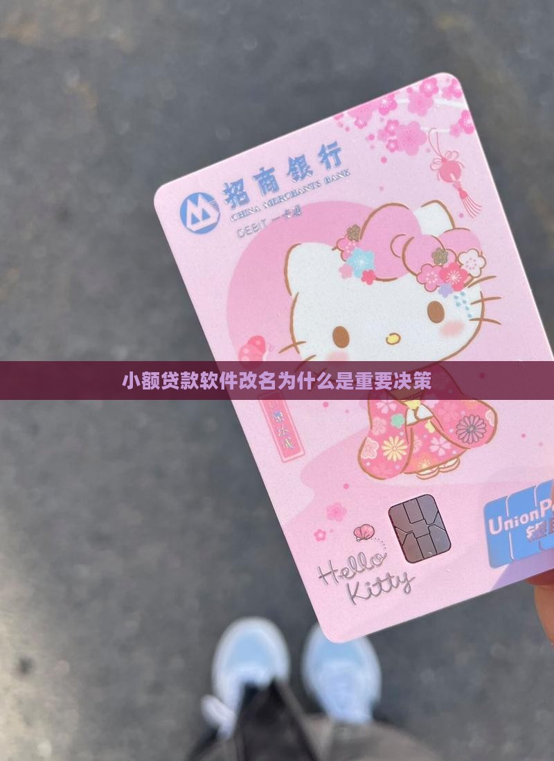 小额贷款软件改名为什么是重要决策