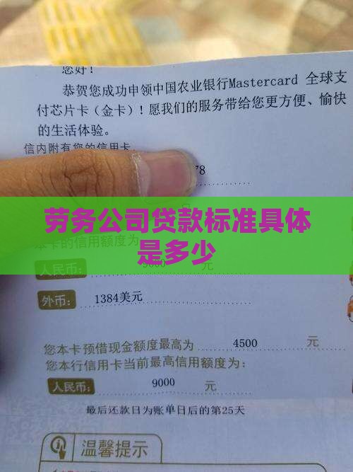 劳务公司贷款标准具体是多少