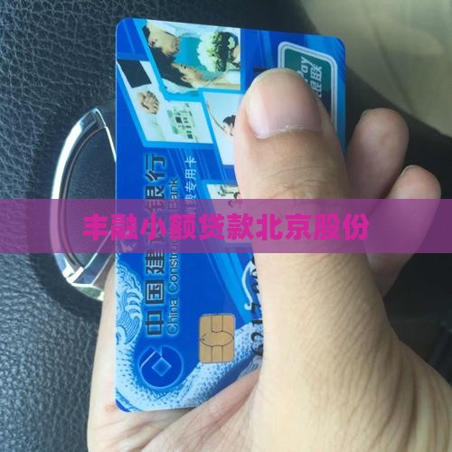 丰融小额贷款北京股份