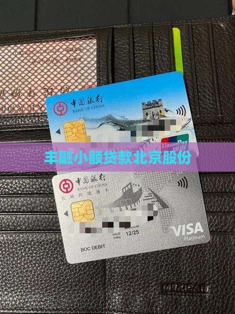 丰融小额贷款北京股份