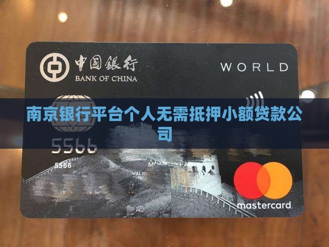 南京银行平台个人无需抵押小额贷款公司