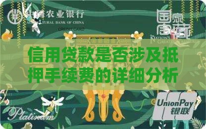 信用贷款是否涉及抵押手续费的详细分析