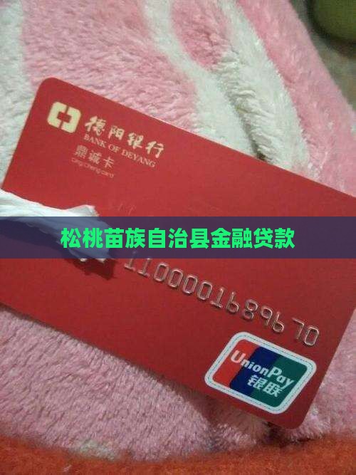 松桃苗族自治县金融贷款