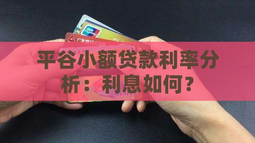 平谷小额贷款利率分析：利息如何？