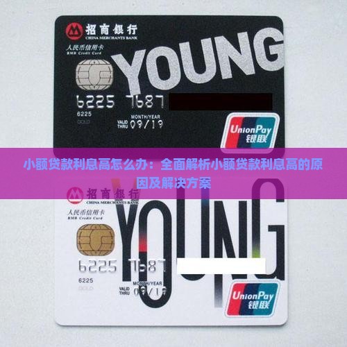 小额贷款利息高怎么办：全面解析小额贷款利息高的原因及解决方案