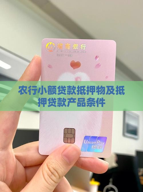 农行小额贷款抵押物及抵押贷款产品条件