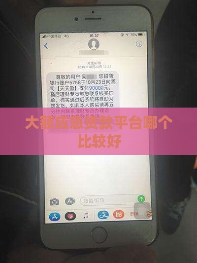 大额应急贷款平台哪个比较好