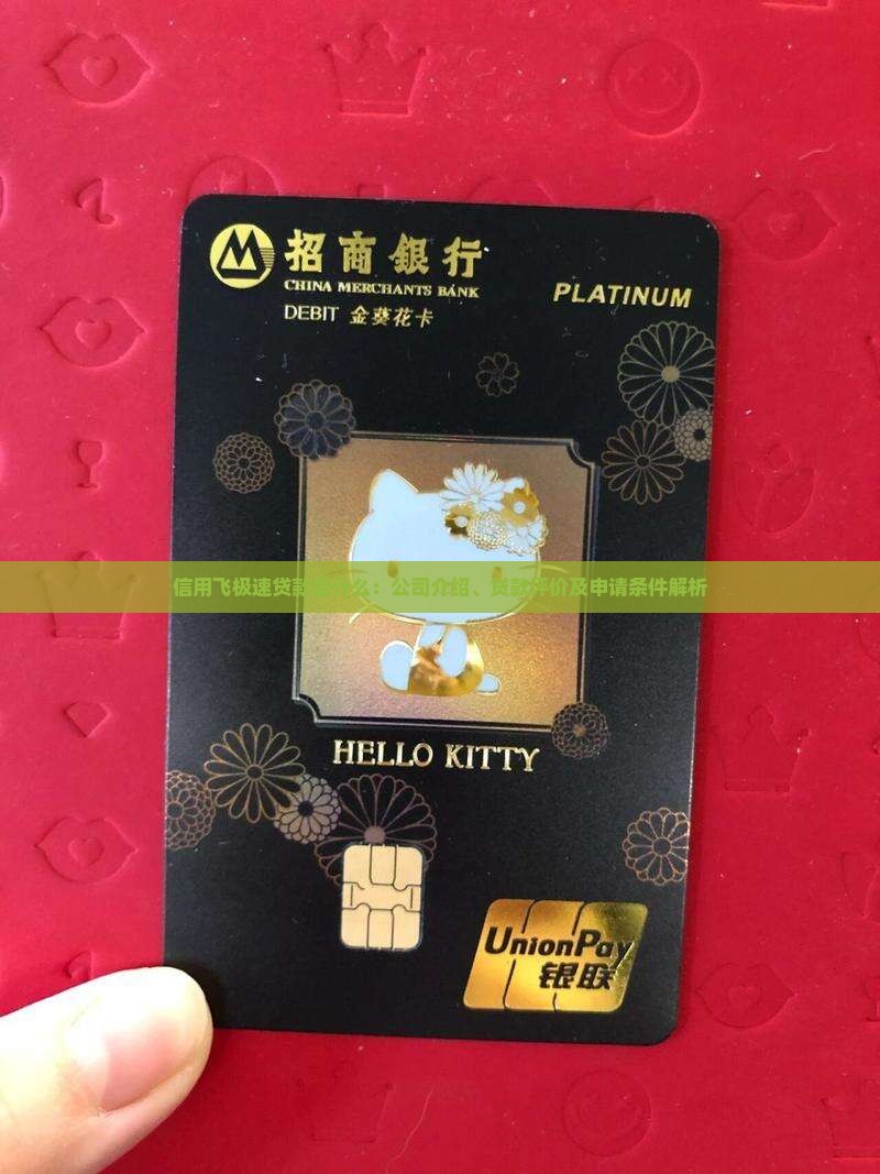 信用飞极速贷款是什么：公司介绍、贷款评价及申请条件解析