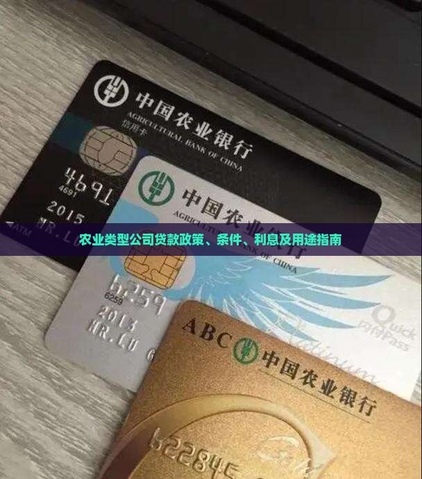 农业类型公司贷款政策、条件、利息及用途指南