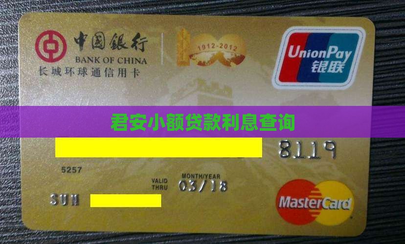 君安小额贷款利息查询