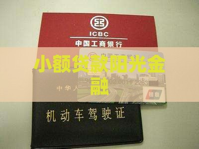 小额贷款阳光金融