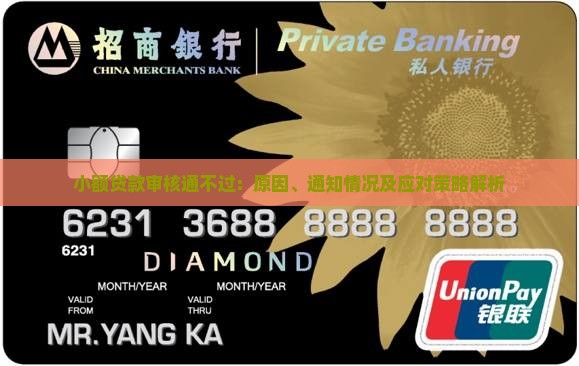 小额贷款审核通不过：原因、通知情况及应对策略解析