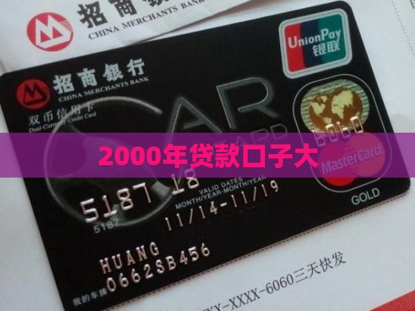 2000年贷款口子大