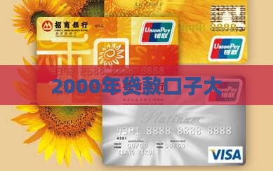 2000年贷款口子大