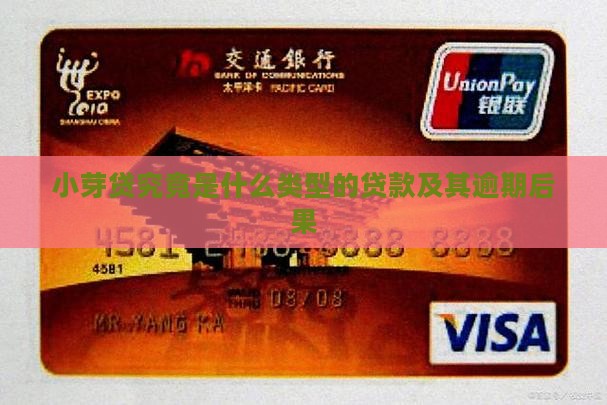 小芽贷究竟是什么类型的贷款及其逾期后果