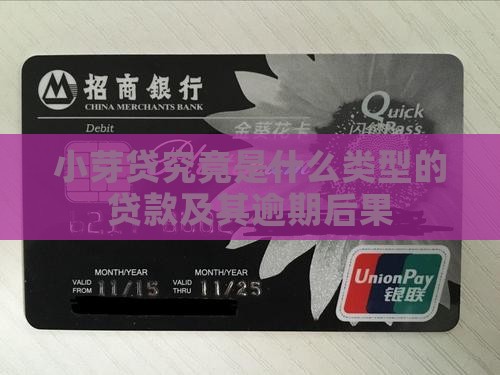 小芽贷究竟是什么类型的贷款及其逾期后果