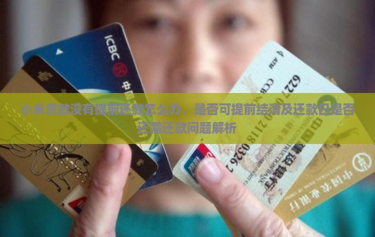 小米贷款没有提前还款怎么办，是否可提前结清及还款日是否还需还款问题解析