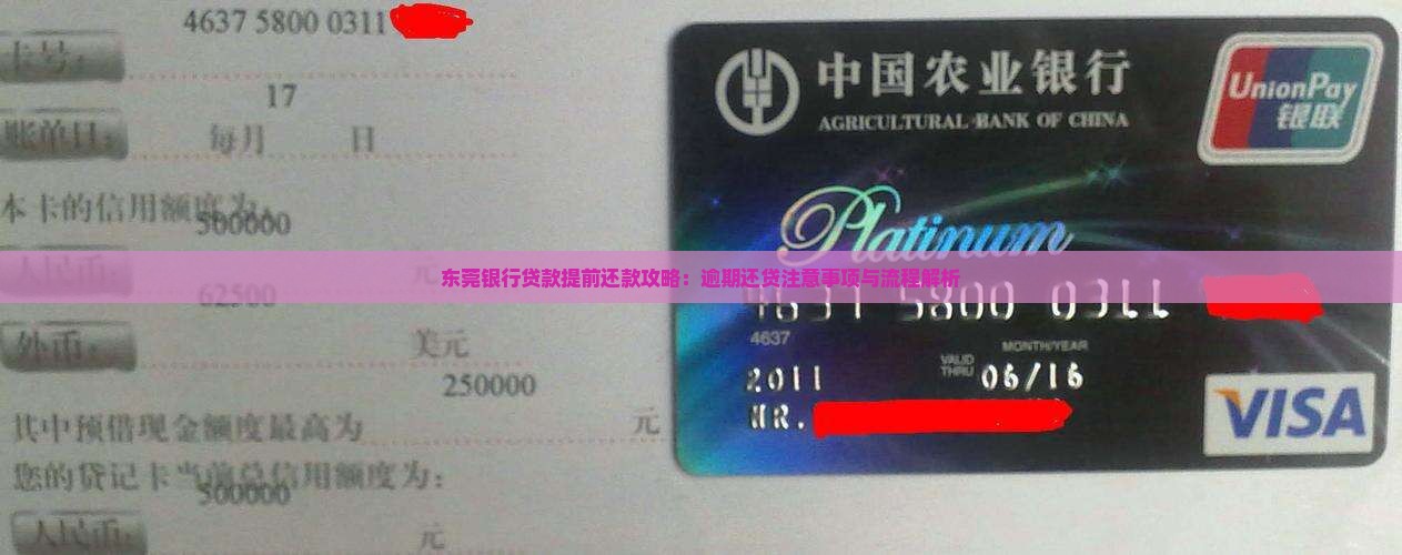 东莞银行贷款提前还款攻略：逾期还贷注意事项与流程解析