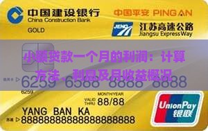 小额贷款一个月的利润：计算方法、利息及月收益概况