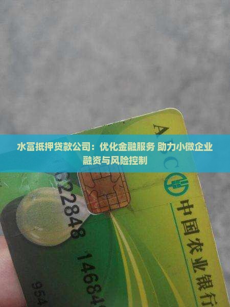 水富抵押贷款公司：优化金融服务 助力小微企业融资与风险控制